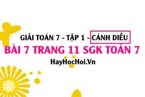 Giải bài 7 trang 11 Toán 7 Tập 1 SGK Cánh Diều